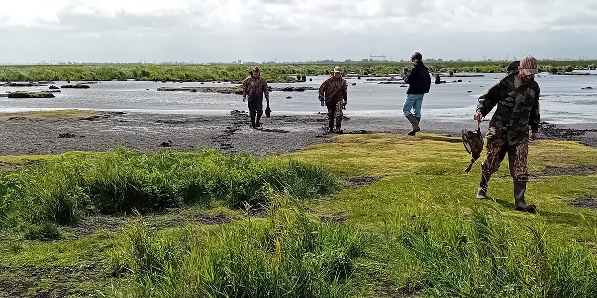 Le marais de Brière se meurt mais les voix des chasseurs s’élèvent pour dénoncer l’urgence de la situation