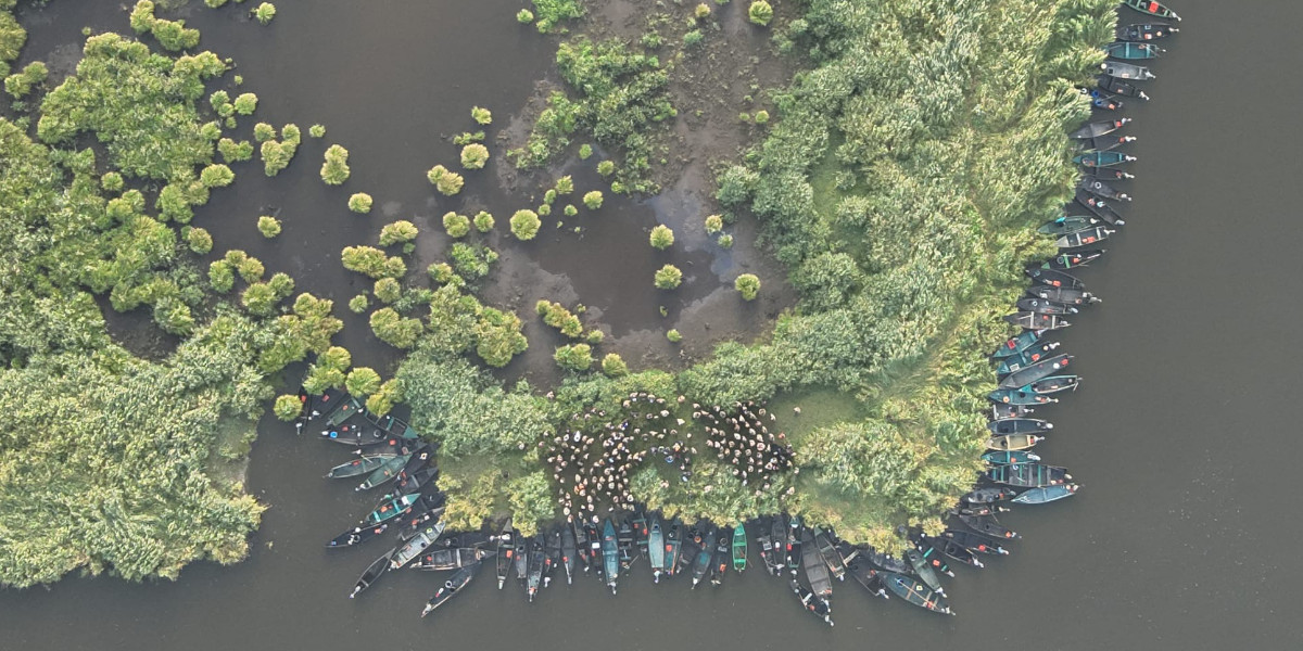 Un nouveau ramassage de cadavres effectués sur le marais de Brière : près de 5000 oiseaux morts depuis le début de la crise