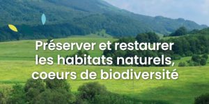 Les actions des chasseurs sur le terrain en chiffres et en images