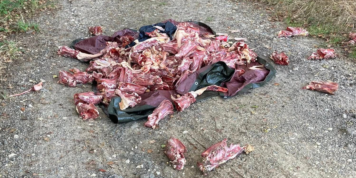 carcasses de canards