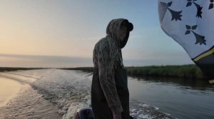 Le silence des oiseaux