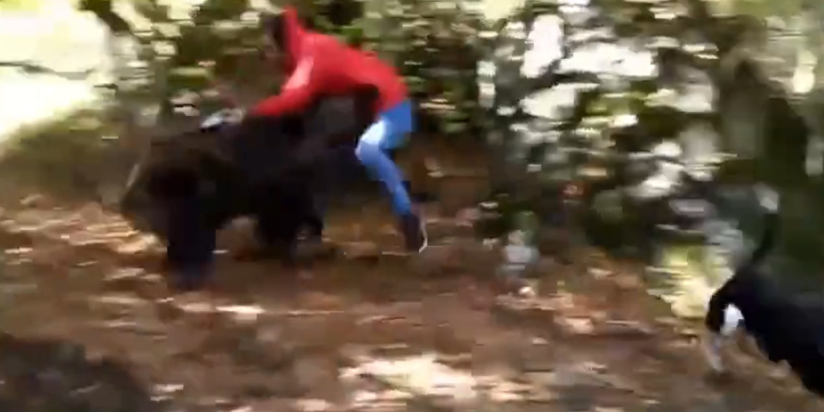 [Vidéo] Un sanglier charge un homme qui ne touche plus le sol sur plusieurs mètres