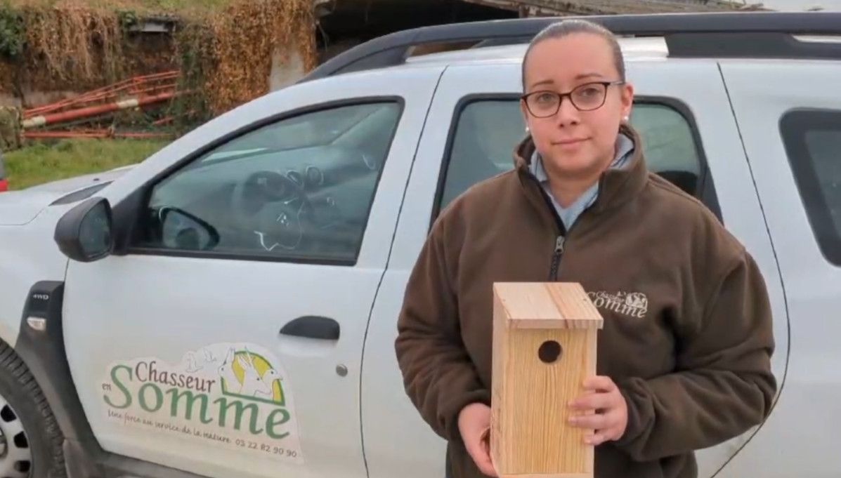 Les chasseurs ont distribué 2000 nichoirs à mésanges dans la Somme cette année