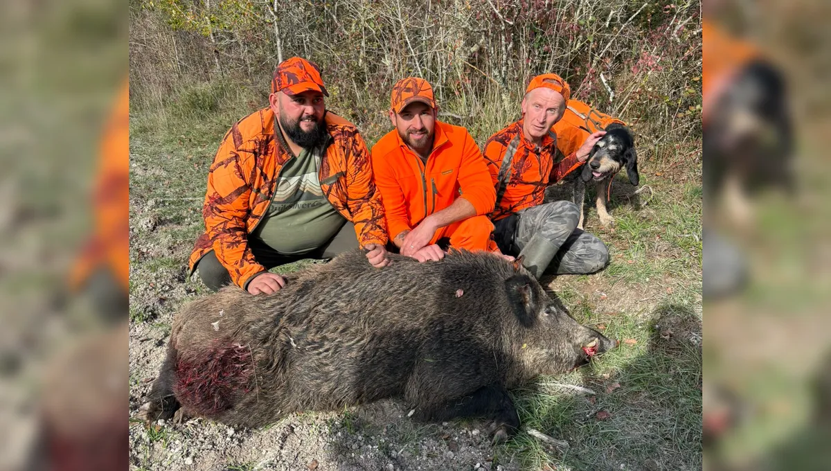 sanglier 171kg plaisance