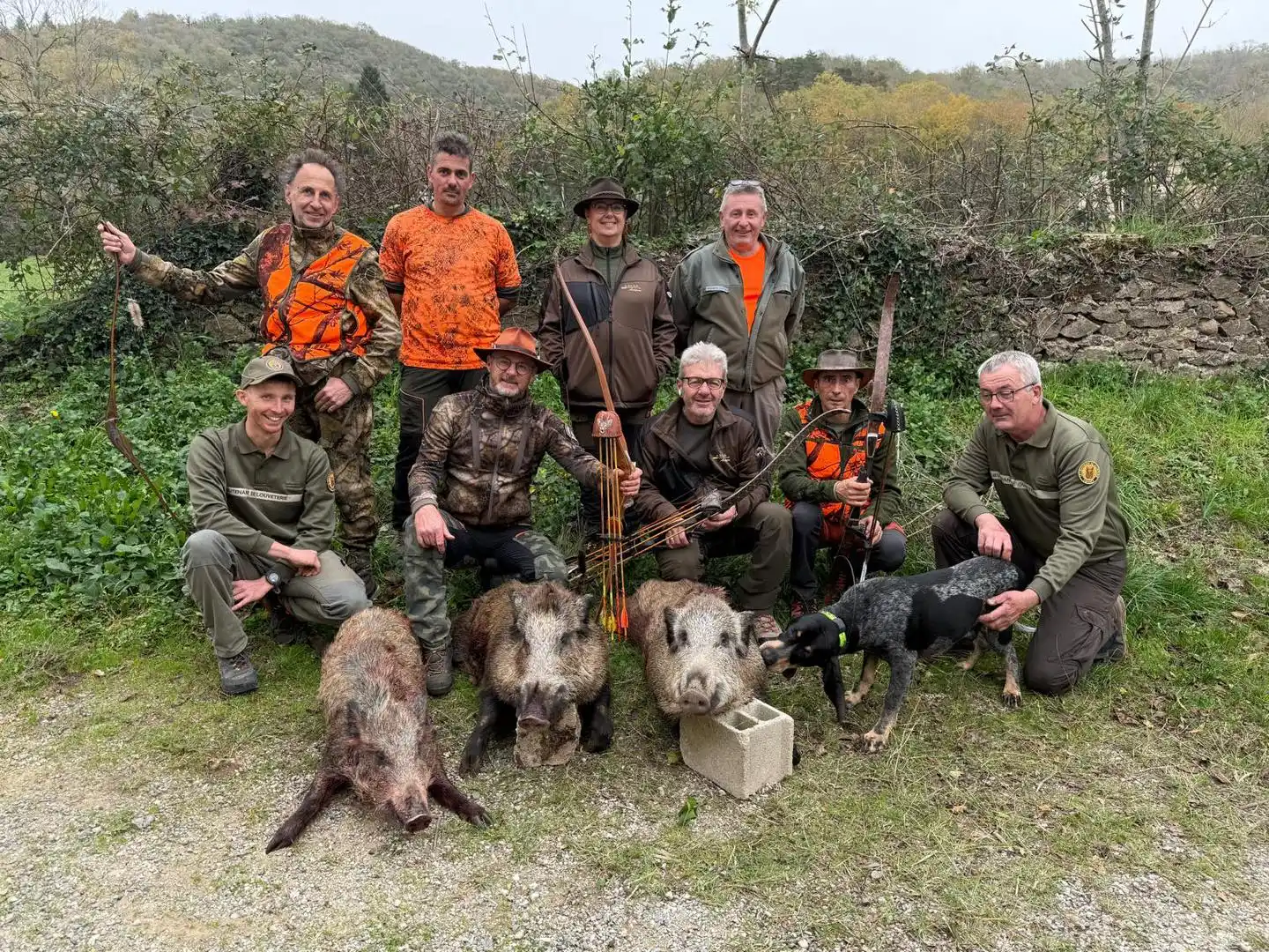 Des archers Aveyronnais ont abattu cinq sangliers installés au beau milieu d’un lotissement