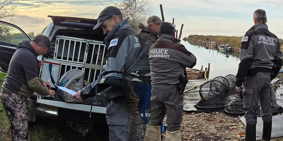 Plus de 400 contrôles réalisés en Camargue, 78 infractions et 3 armes saisies : l’OFB dresse le bilan de l’opération « Delta »