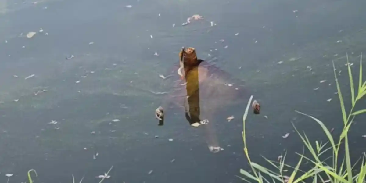 [Vidéo] Une prise surprenante en pleine partie de pêche