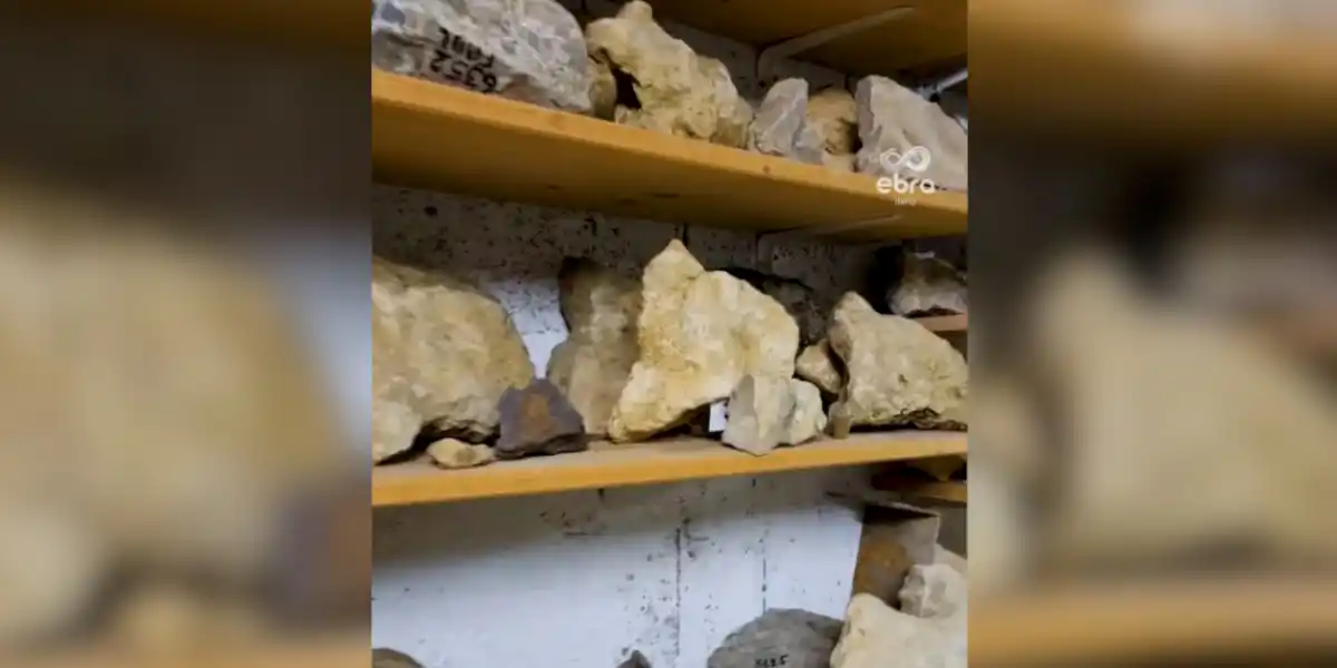[Vidéo] Archéologie ou coïncidence : un Mosellan collectionne les pierres en forme de sanglier
