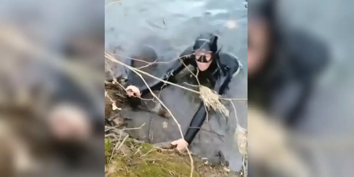 [Vidéo] Refusant de perdre un sanglier, un chasseur n’a pas hésité à plonger