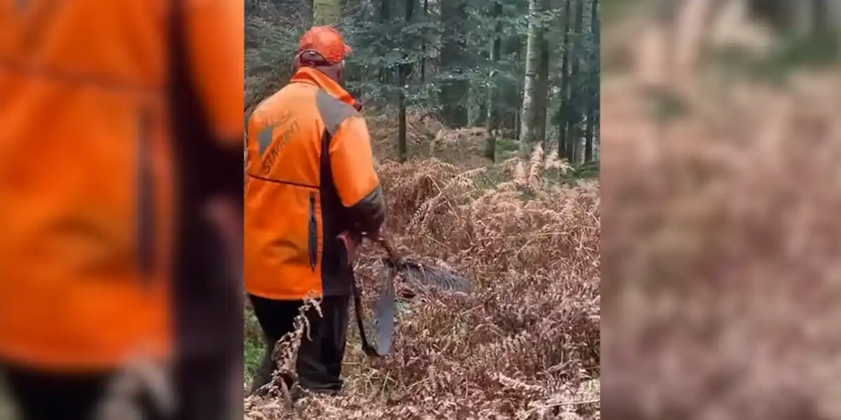 [Vidéo] Un sanglier met un coup de pression à un chasseur