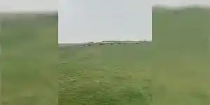 sangliers-golf-cambresis