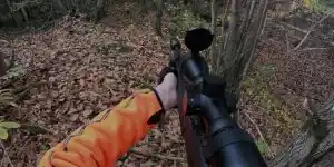 6-sangliers-au-meme-poste