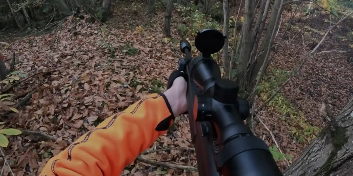 [Vidéo] Une journée de chasse exceptionnelle avec 6 sangliers au même poste