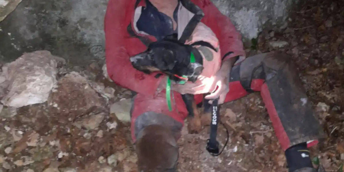Vaucluse : un chien de chasse coincé dans un trou secouru par une équipe de spéléologues ce vendredi matin