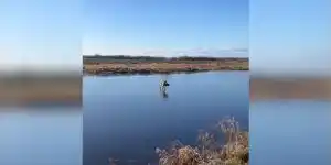chien de chasse sur la glace