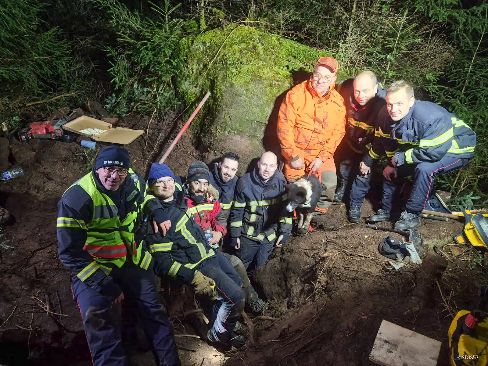 Moselle : une chienne de chasse retrouvée vivante après plusieurs heures piégée sous terre