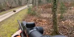 compilation 50 tirs sur sangliers