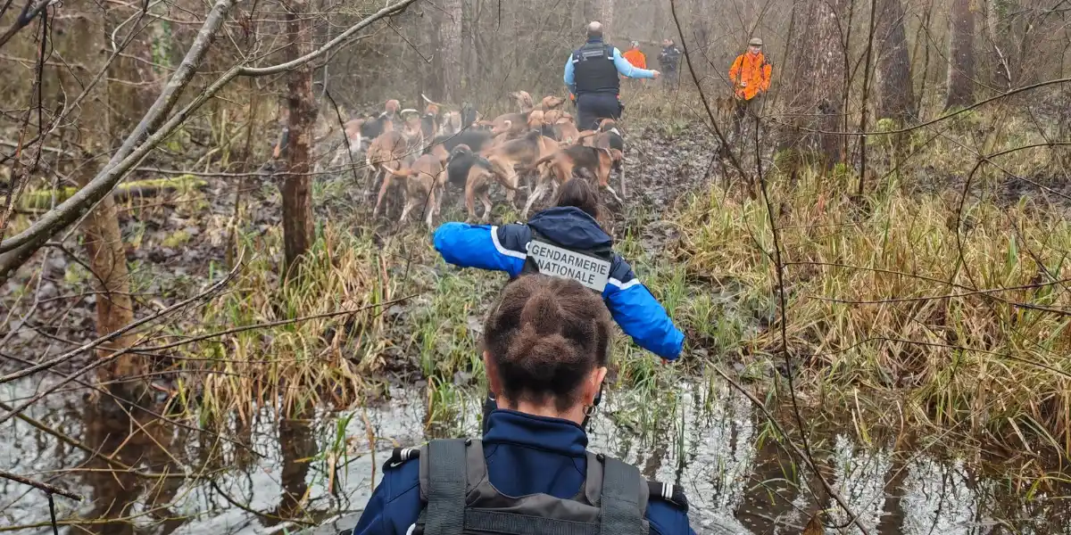 Contrôles en Charente : 57 chasseurs vérifiés, zéro infraction relevée