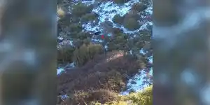 keiler montagne corse