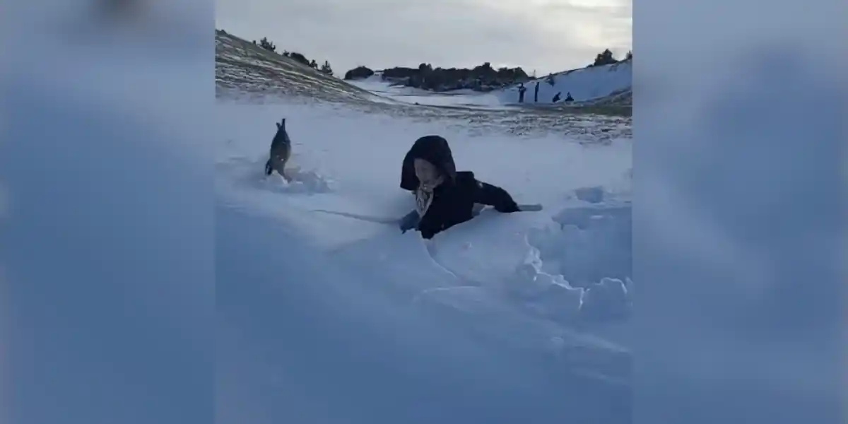 [Vidéo] Une femme ne s&rsquo;attendait jamais à faire démarrer un lièvre en sautant dans la neige