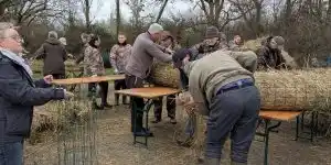 En Brière, les chasseurs fabriquent 250 nids pour protéger les oiseaux du marais