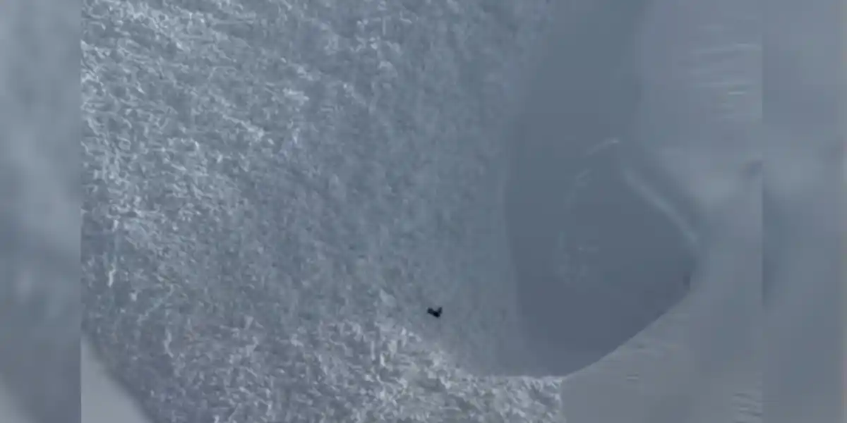 [Vidéo] Un chamois se sort in extremis d&rsquo;une avalanche