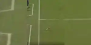 lievre-terrain-de-foot