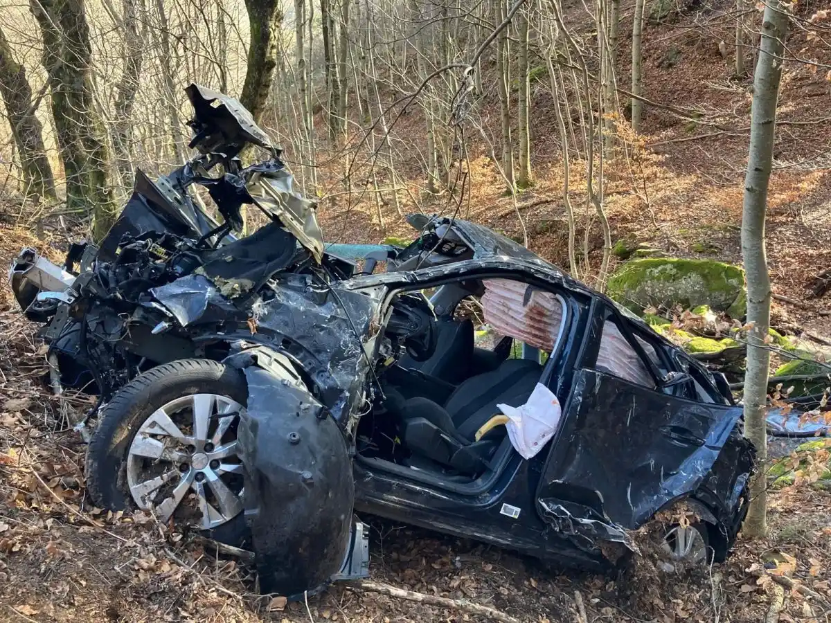 Ardèche : des chasseurs sauvent miraculeusement un automobiliste coincé depuis cinq jours dans un ravin