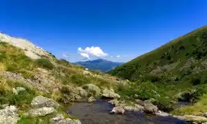 Un chien de chasse remonté indemne après une chute de 20 mètres dans le Couserans