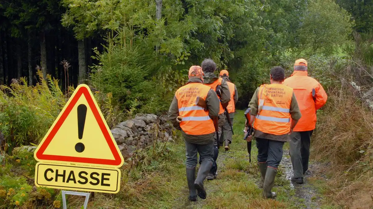 accidents de chasse 2025/2026 en baisse