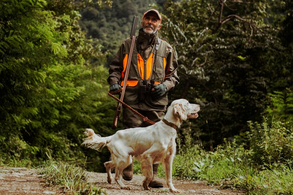 Article sur le coût réel de la chasse en France