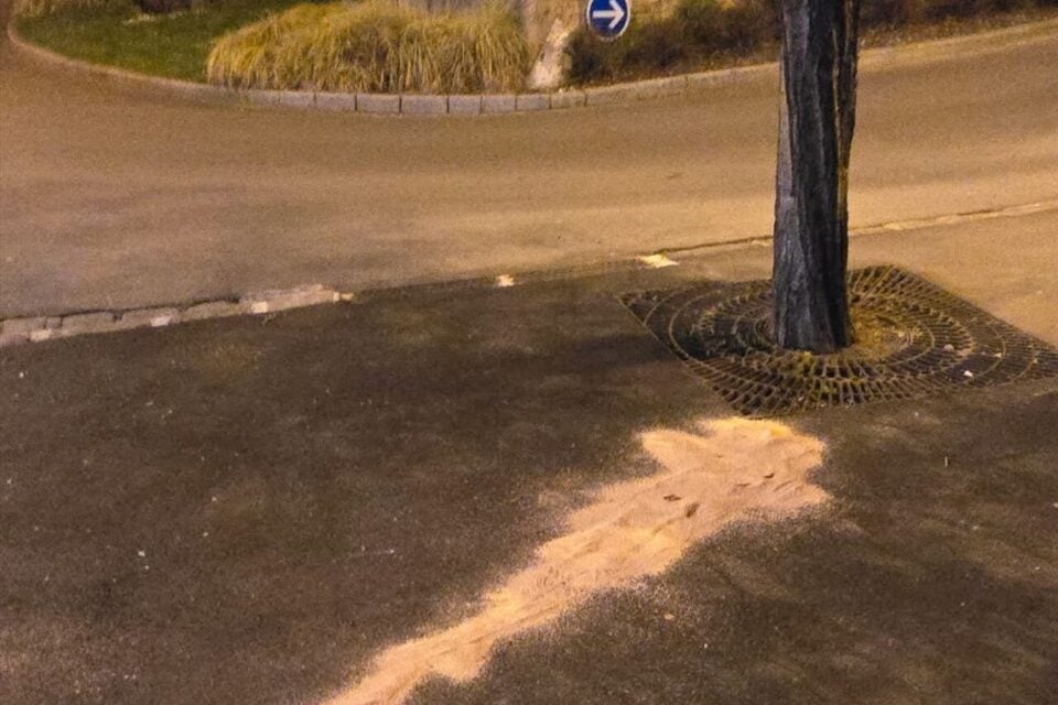 sanglier tombe du viaduc sncf
