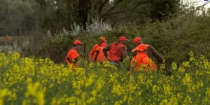 chasseurs Briec