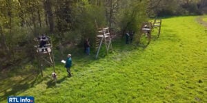 chasseurs wallonie