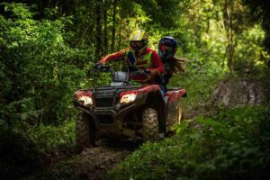 quad en foret