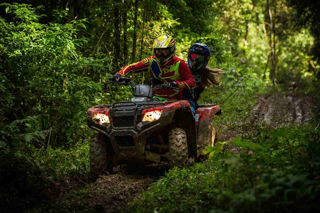 quad en foret