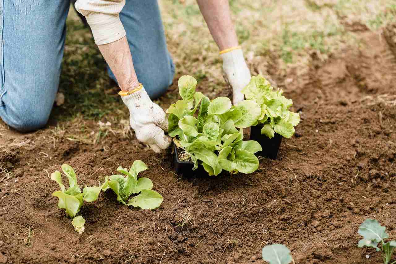 150.000 € d’amende pour de la bière, du vinaigre ou du sel au jardin? Le rappel de l&rsquo;OFB fait bondir les agriculteurs
