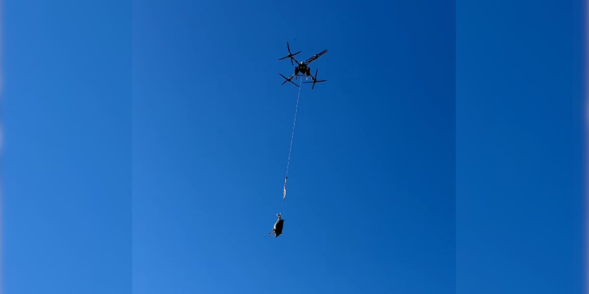 drone chasse