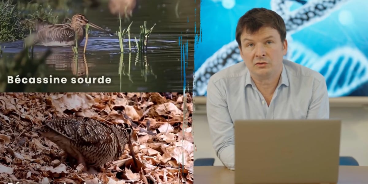 genomique de conservation