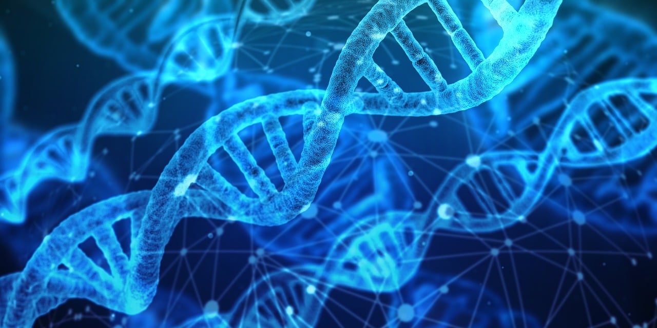 HUNTomics, un programme scientifique de la FNC reconnu à l&rsquo;échelle mondiale