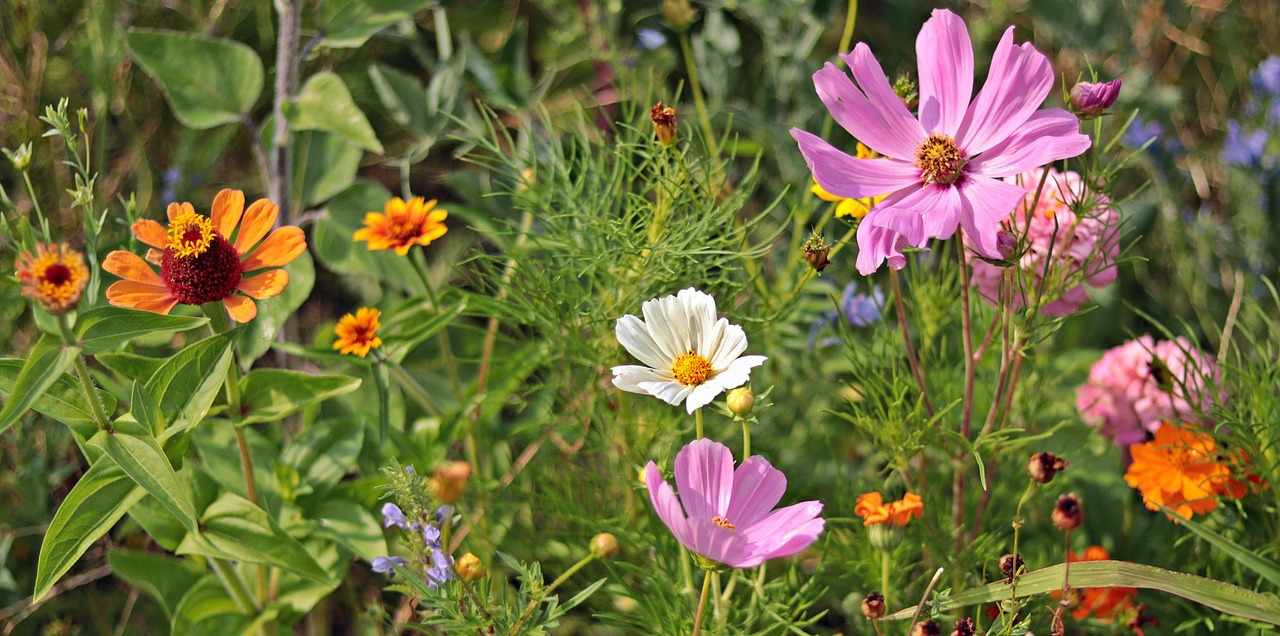 Dans la Somme, les chasseurs fleurissent les ronds-points