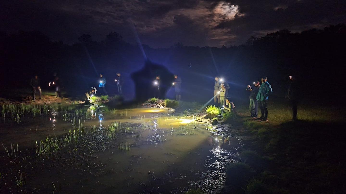 la Fédération des chasseurs de l&rsquo;Aveyron se mobilise pour sauver un amphibien en sursis