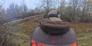 sangliers et chevreuils en sologne