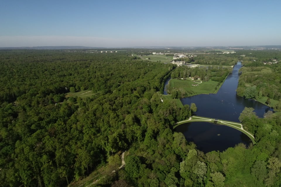 Un lot de chasse de 930 hectares en forêt de Chantilly cherche sa futur équipe