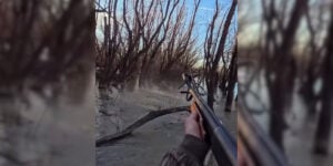 fusil explose