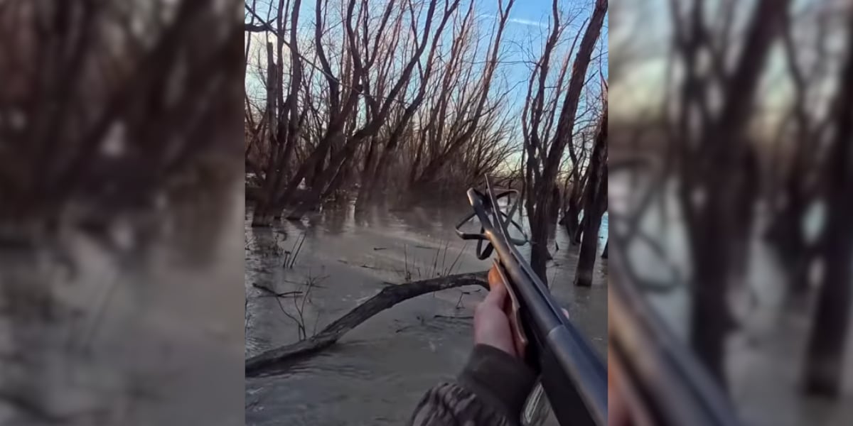 [Vidéo] Accident de tir : son canon explose en pleine action de chasse