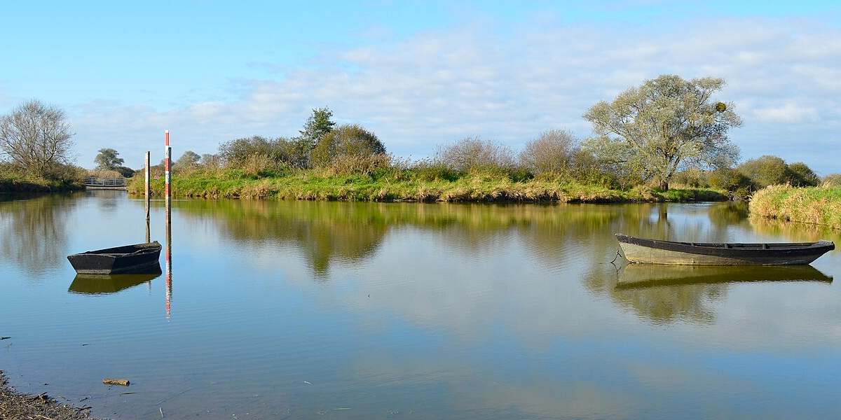 Des chasseurs attaquent l&rsquo;État en justice pour sauver le lac de Grand-Lieu