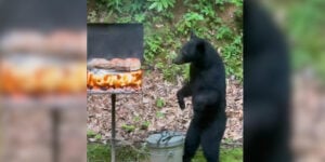 ours barbecue