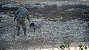 chasseur balkans