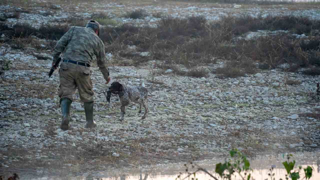Albanie : l&rsquo;interdiction totale de la chasse bientôt levée après deux ans d&rsquo;application
